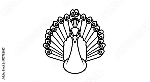 A detailed black and white outline drawing of a peacock with its tail feathers fanned out.