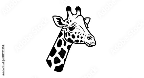Black and white detailed illustration of a giraffe's head with distinctive spots and long neck.