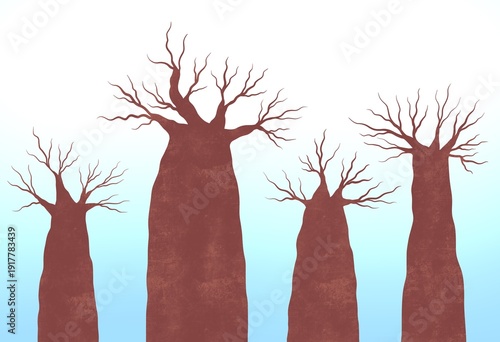 Fotografia baobabs