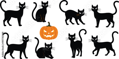 Flat vector illustration set of Halloween elements including various black cats in different poses and a spooky carved orange jack-o-lantern pumpkin lantern.