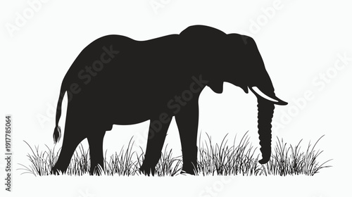 Silhouette of an Elephant Grazing in Tall Grass