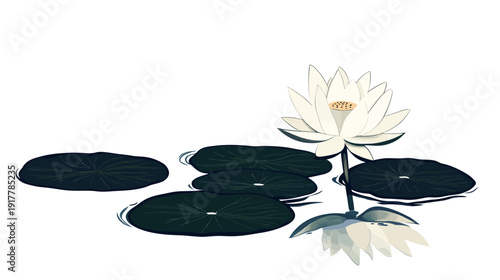 Serene White Lotus Blooming on Tranquil Pond Surface