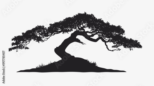 Silhouette of a Bonsai Tree Against a White Background