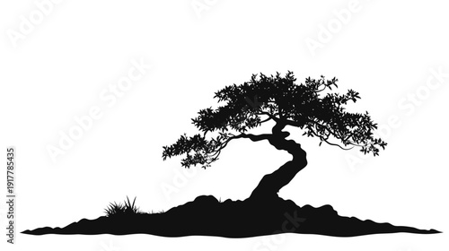 Silhouette of a Bonsai Tree on a Rocky Base