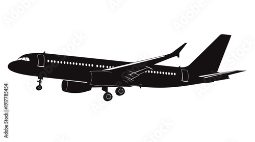 Silhouette of a Commercial Airplane in Flight