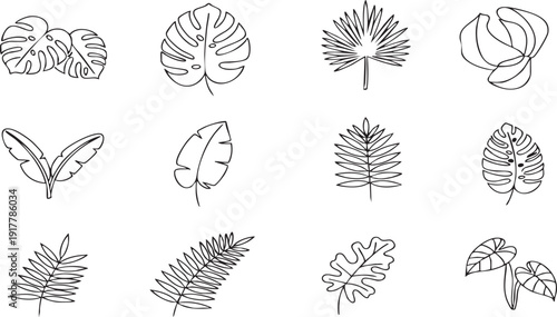Collection of Various Hand Drawn Leaf Illustrations.