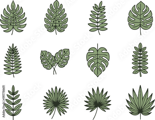 Various Tropical Leaves Illustrations Collection.