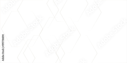 Abstract white background with hexagon shape geometric lines.