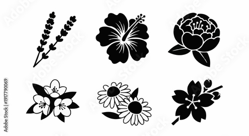 Solid black vector icons and silhouettes of lavender, hibiscus, peony, cherry blossom, and jasmine flowers for graphic design.