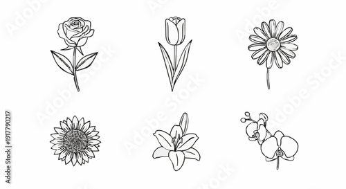 Minimalist black and white vector line art illustrations of popular flowers including rose, tulip, daisy, sunflower, lily, and orchid.