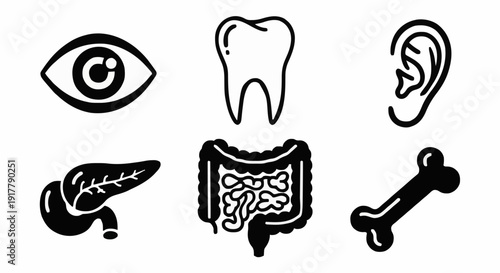 Black solid vector icons representing human anatomy including eye, tooth, ear, pancreas, intestines, and bone.