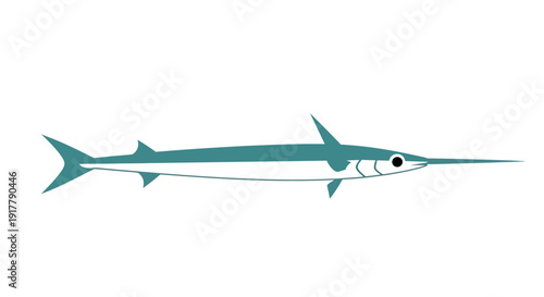 Needlefish Swimming in Water.