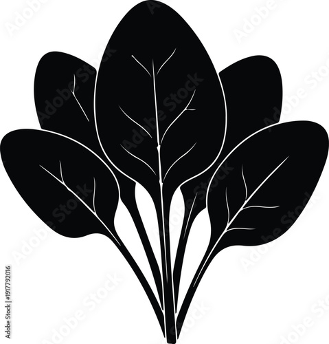 silhouette cluster of spinach leaves fresh green plant healthy food vector design