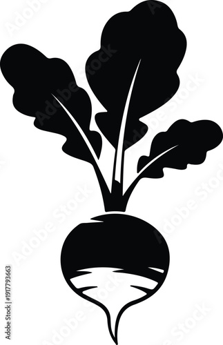 silhouette healthy fresh beet garden vegetable root plant natural vector design