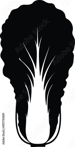 silhouette napa cabbage vegetable isolated on white background vector design