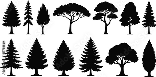 Tree, silhouettes, set, forest, collection, pine, fir, spruce, oak, maple, cedar, nature, landscape, park, garden, outdoor, isolated, white, background, vector, icons, graphics