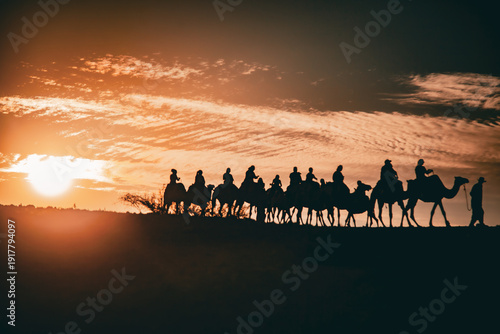 Silhouette of man leading line of camels at sunset in desert	