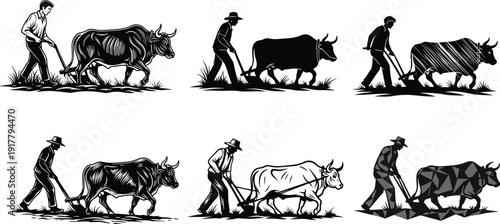 Black and white of men plowing fields with oxen farming agriculture cows bulls