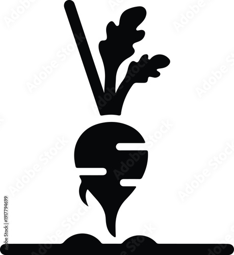 silhouette organic fresh root vegetable growing in soil flat vector design