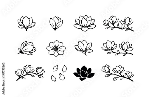 magnolia branch delicate outline. Line outline icon set of magnolia branch delicate outline: single bloom,