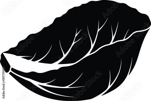silhouette single lettuce leaf detailed veins isolated vector design