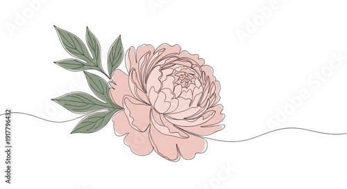Minimalist illustration of a peony with leaves in a one-line drawing style. Perfect for branding, invitations, website design, and artistic presentations.