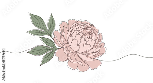 Elegant continuous line drawing of a peony flower and leaves. Soft colors, minimal style. Ideal for wedding invitations, branding, and feminine designs.