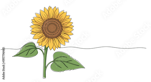 Stylized sunflower drawing with continuous line detail and white space for text or design. Perfect for greeting cards, invitations, or website graphics emphasizing nature.