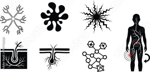 Human body silhouette with vein and nerve system human silhouette body system medical anatomy