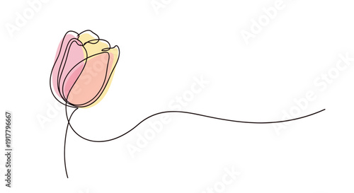 Minimalist continuous line drawing of a tulip flower with subtle pastel color fill. Great for branding, invitations, stationery, and feminine design projects.