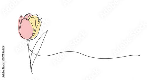 Minimalist one line drawing of a tulip flower with soft pink and yellow pastel colors. Suitable for greeting cards, invitations, website designs, and branding.
