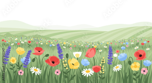 Vibrant illustration of a wildflower meadow in spring. Rolling green hills in the background. Perfect for cards, invitations, and website design with a nature theme.
