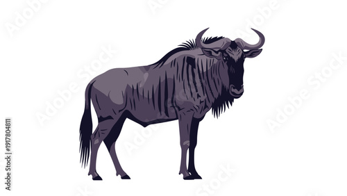 Detailed animal portrait of a wild blue wildebeest standing in profile against a plain white background showing its unique features.