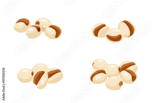  Job's tears vector logo isolated on white background.	