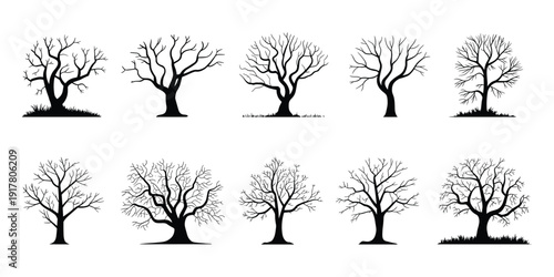 Collection of Bare Tree Silhouettes in Winter deciduous