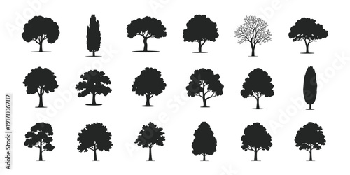 Collection Of Black Tree Silhouettes trees white background