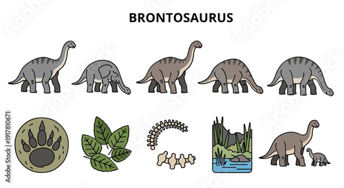 A cartoon illustration collection depicting various Brontosaurus dinosaurs and related elements
