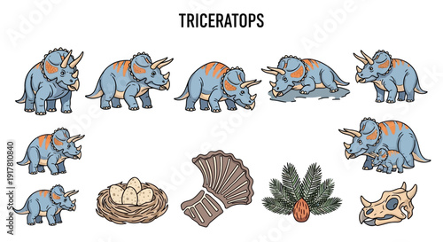 Cartoon illustration of Triceratops dinosaurs and related artifacts on a white background