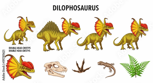 Illustration set featuring multiple views of a Dilophosaurus skull footprint lizard and fern