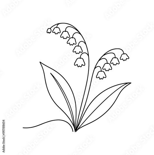 "Forest Lily of the Valley". Minimalistic one-line drawing lily of the valley growing naturally with arching