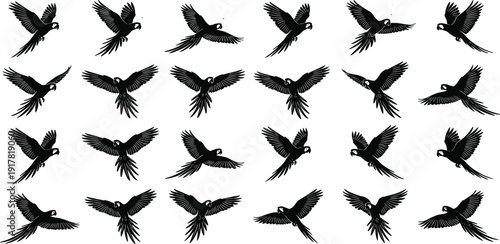 Black Detailed Silhouette Set of Macaw Parrots Flying in Various Poses for Tropical Nature Wildlife Protection Exotic Bird Education and Jungle Vector