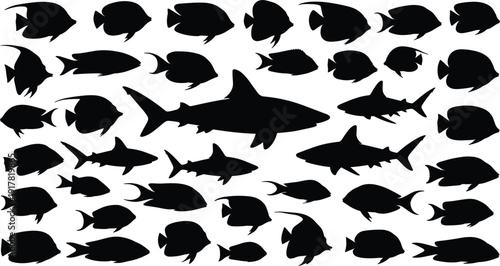 Tropical fish and shark silhouettes collection set, black marine animals icons isolated on white background vector
