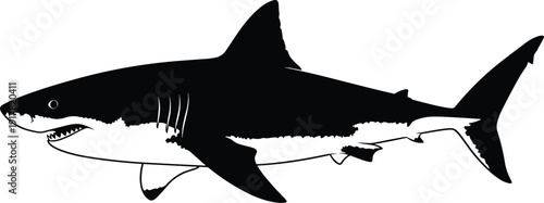 Great white shark silhouette vector illustration, dangerous ocean predator icon isolated on white background for marine design