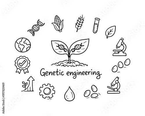 Genetic engineering in agriculture. Hand-drawn doodle illustration of genetic engineering in