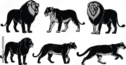 lion; lions; lioness; asianlion; africanlion; puma; cougar; bigcat; feline; cat; predator; wildlife; animal; animals; safari; jungle; wild; mammal; silhouette; silhouettes; black; icon; 