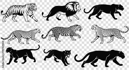Dynamic big cats silhouette set in action poses vector collection