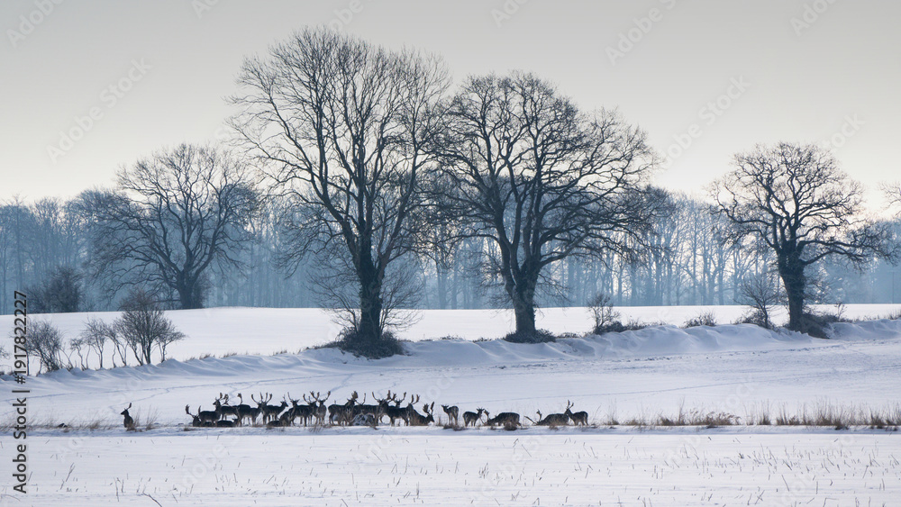 Obraz premium Winterlandschaft