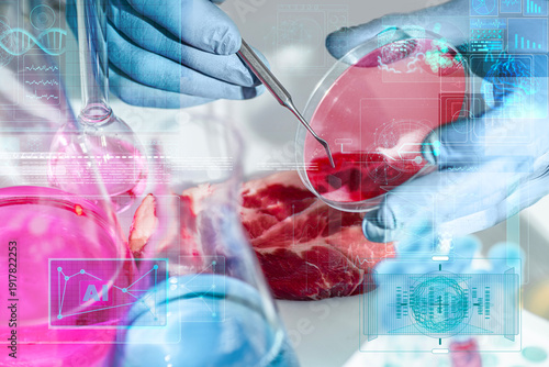 Vászonkép Raw pork steak examined next to a petri dish in a biotech laboratory