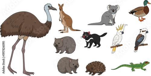 Australian wildlife animals illustration set emu kangaroo koala wombat echidna parrot duck lizard marsupial fauna cartoon isolated vector collection