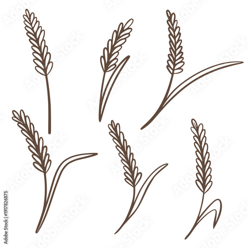 Spikelets of cereal crops set in doodle sketch style. Ripe ears of corn with grains. Rye, wheat, oats, rice, barley, millet. Vector graphics
